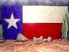 texflag.jpg